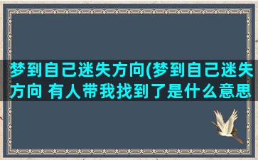 梦到自己迷失方向(梦到自己迷失方向 有人带我找到了是什么意思)